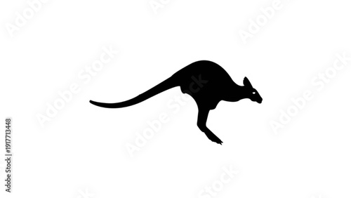 Jumping Kangaroo Silhouette Isolated on White Background