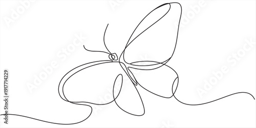 Minimalist continuous line art illustration of a flying butterfly on white background Vector, illustration