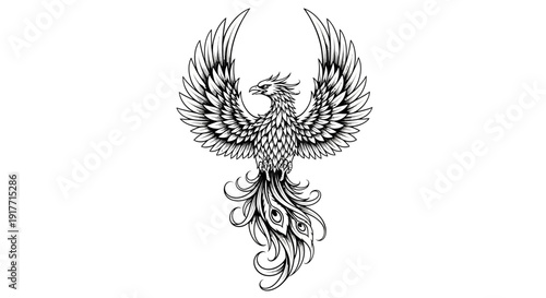 Mystical Phoenix Rising with Ornate Featherwork Tattoo Stencil Design. transparent.