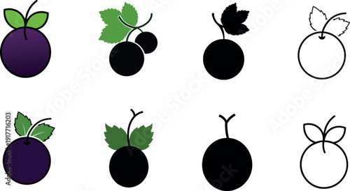 Blackcurrants fruit illustration set with silhouettes and outlines