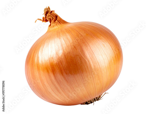 Wallpaper Mural Fresh onion bulb isolated on transparent white background Torontodigital.ca