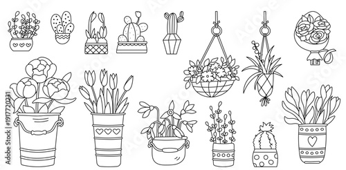 Set Of Indoor Plants And Flowers And A Coloring Page For Children And Adults