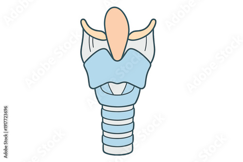 A simplified medical illustration of the human larynx and trachea showing the epiglottis, thyroid cartilage, and tracheal rings against a solid black background.