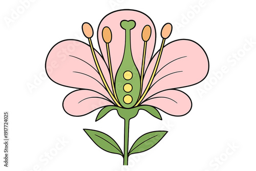 This flat vector illustration shows a pink flower with green leaves on a black background. The design highlights internal structures including orange stamens and a green pistil.