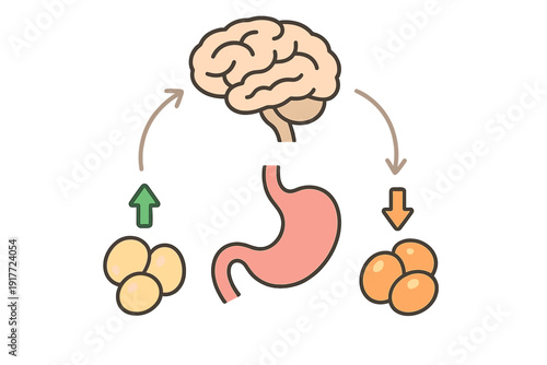 A vector diagram illustrating the gut-brain axis with a human brain, stomach, and cellular clusters connected by arrows representing metabolic signaling and communication.