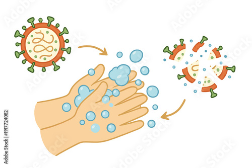 An illustration showing hands being washed with soap bubbles to destroy a virus particle. The soap breaks the virus into pieces, demonstrating the importance of hygiene for health.