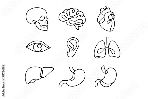 A collection of nine minimalist line art icons depicting various human internal organs and body parts including the brain, heart, lungs, and skull on a dark background.