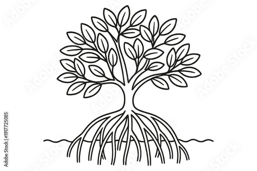 This minimalist black and white line drawing depicts a mangrove tree featuring a full canopy of leaves and intricate aerial roots submerged in water, set against a white backdrop.
