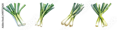 Minimal yet artistic elements for creative designs. hand-drawn paint, Simple Illustration, A beautiful painting of leek, EPS format, isolated on a white background