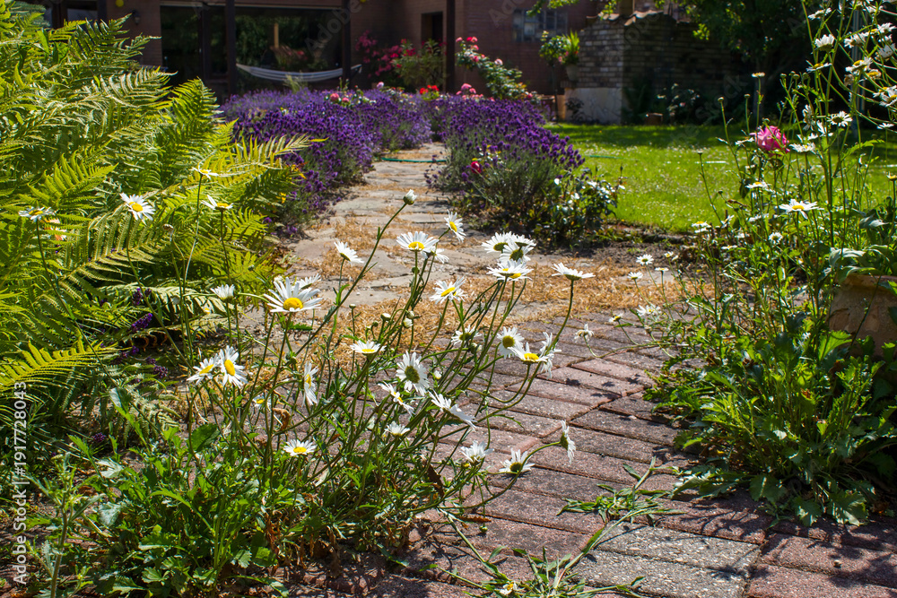 custom made wallpaper toronto digitalrustical garden - stone paved garden path and flowers - summertime
