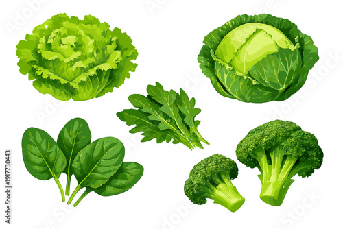 This digital illustration features a variety of fresh green vegetables like lettuce, cabbage, spinach, arugula, and broccoli florets arranged on a solid black background.