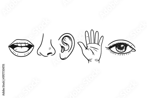 A minimalist illustration featuring white line art icons of the five human senses: a mouth, nose, ear, hand, and eye. The graphic is presented on a solid black background.