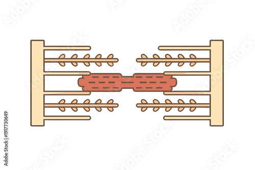 This vector illustration depicts the microscopic structure of a sarcomere, showing actin and myosin filaments arranged between Z-discs for muscle contraction study.