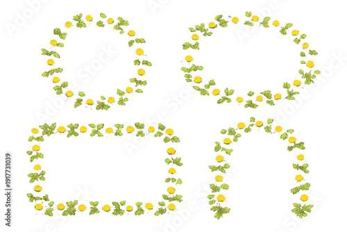 A collection of four botanical borders including a circle, oval, rectangle, and arch. Each frame is composed of yellow blossoms and green foliage set against a black background.