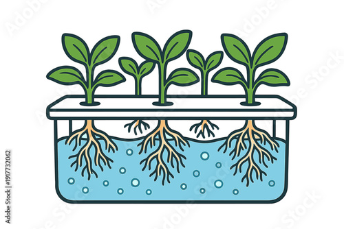 This vector illustration depicts a hydroponic gardening setup with green leafy plants growing from a black lid into a blue water reservoir, showcasing their intricate root systems.