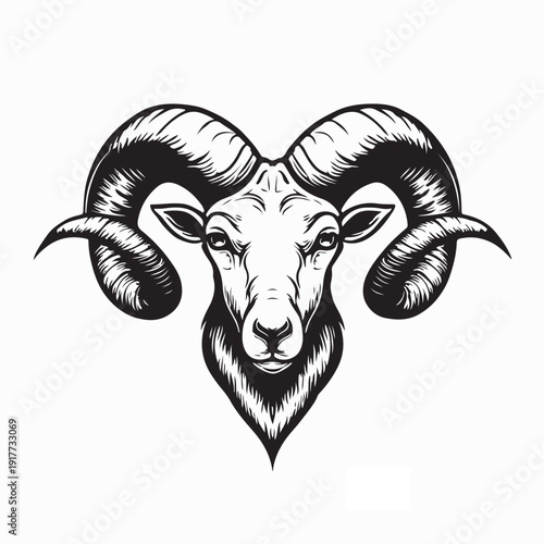 Aries Zodiac Symbol Ram Head Vector Illustration on White Background