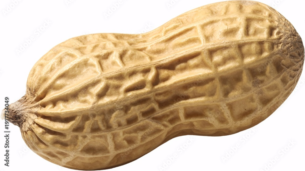Obraz premium Peanut isolated on white background healthy snack food concept with one whole raw peanut