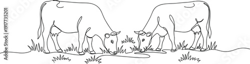 Cows grazing line art flat vector illustration, rural farmland, livestock, agriculture, nature, continuous drawing, minimalist pastoral design
