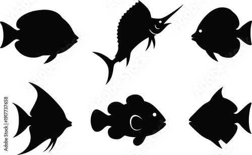 Set of various fish silhouettes including clownfish and swordfish vector illustration collection