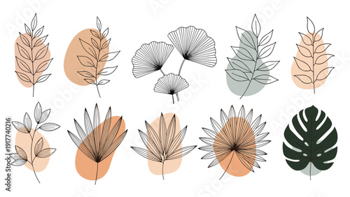 Assorted botanical illustrations of various leaves in black ink line art paired with soft colored organic shapes behind them.