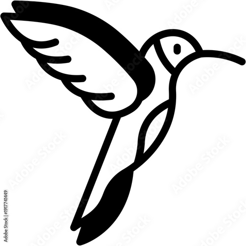 Colibri Bird in Wildlife, Animal Kingdom Vector Icon