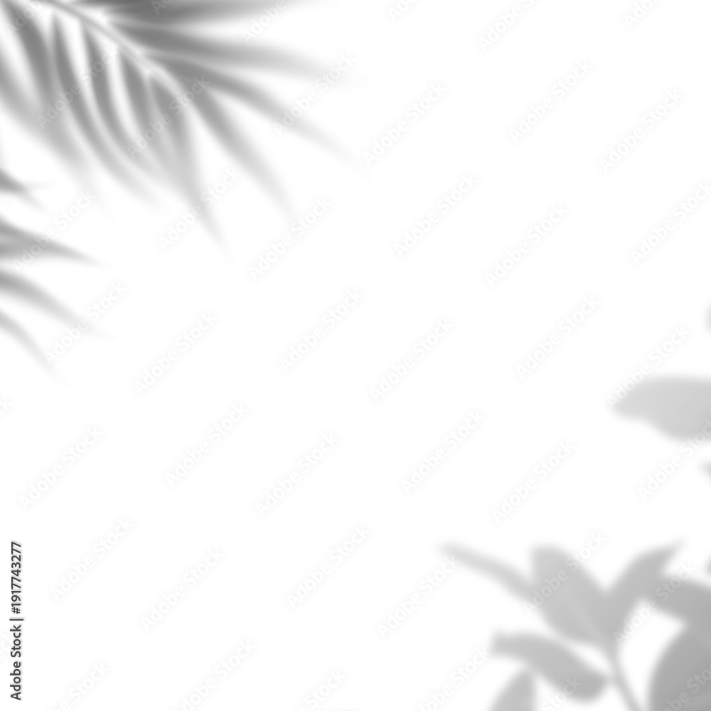 Obraz premium Palm tree leaves creating a realistic shadow overlay effect
