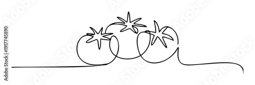 A continuous line drawing depicting three fresh organic tomatoes perfect for food blogs culinary applications healthy lifestyle promotion and kitchen decor