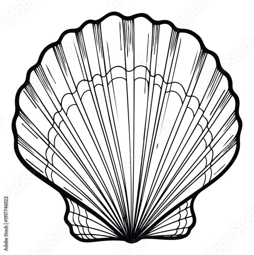 Simple seashell outline graphic with wavy outer edge and radial lines, perfect for marine life product packaging, underwater environment studies, or beach destination promotions.