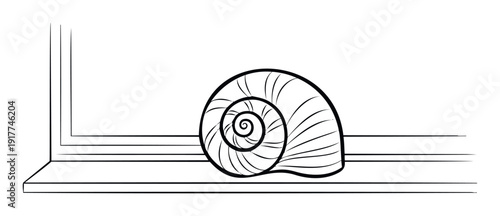 Simple black outline drawing of a spiral snail shell sitting on a window ledge, suitable for minimalist decor, childrens books, or educational resources
