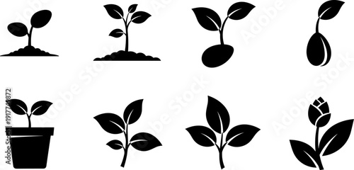 Stages of plant growth from seed to bud, illustrated as simple black icons