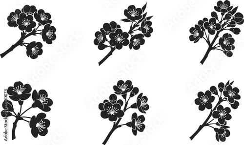 Collection of delicate black cherry blossom branch silhouettes on a white background