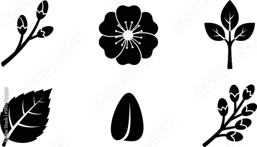 Collection of simple black icons representing natural elements like leaves, flowers, and buds