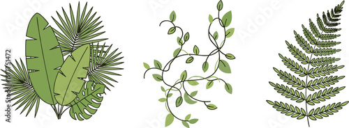 Collection of stylized tropical leaves and vines in various green shades on a white background