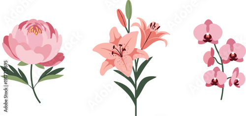 Collection of three delicate pink flowers: peony, lily, and orchid, isolated on white