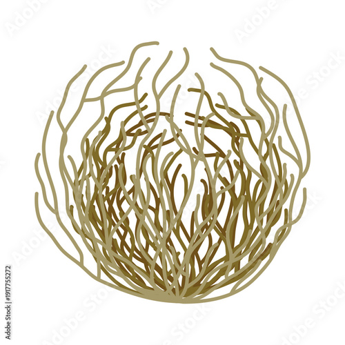 Illustration of tumbleweed, a dry desert plant, a lump of roots and branches rolling across arid land