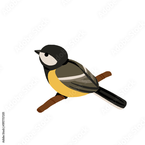 Ukrainian Winter Birds Collection - Blue Tit Nuthatch Marsh Tit Great Tit. Common Backyard Garden Birds Vector Illustration Set. European Eastern European Wildlife Nature Education