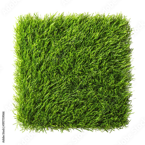 Green grass texture in vibrant lush color with natural lighting for environmental background
