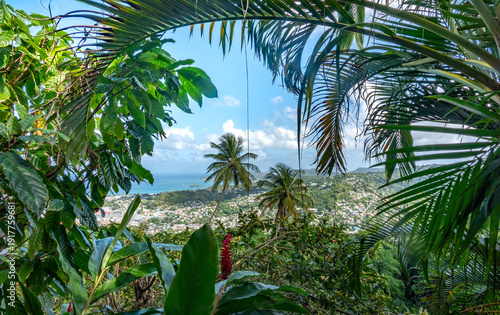 Magnificent tropical gardens in the highlands of the island of Saint Lucia, with the capital city of Castries in the background,