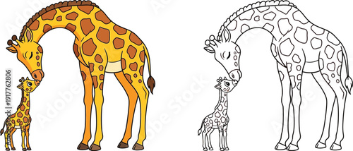 Adorable Mother Giraffe and Calf Sharing a Tender Moment