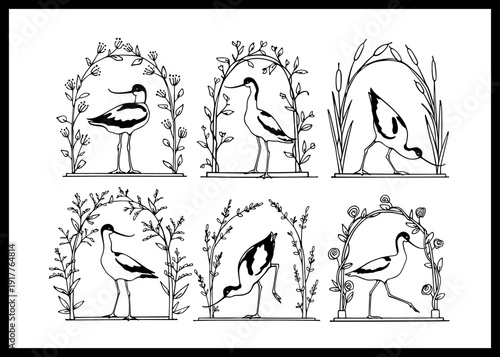 Vector card with hand drawn set of badges with  beautiful Pied Avocets in vintage floral arches. Beautiful wildlife design elements, ink drawing, logo templates
