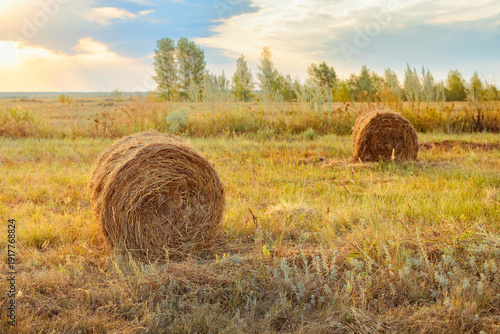 Foto A field with mowed grass and rolls of hay on a sunny day