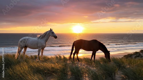 two horses grazing on grassy dunes near ocean beach during sunset. white and brown animals eating grass on coast. nature landscape with sea, sun and clouds. summer evening, peaceful wild life.