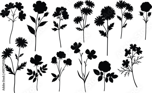 Collection of wildflowers and garden flowers silhouettes vector illustration set isolated on white background botanical decorative elements