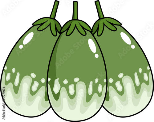 Thai Green Eggplant Clipart (Solanum melongena) – Farm Fresh Vegetable Vector for Kitchen and Food Illustrations