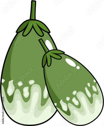 Thai Eggplant Vector (Solanum melongena) – Organic Green Vegetable Clipart for Culinary and Market Designs