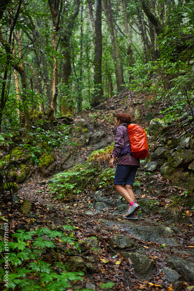 Obraz premium Hiking in the rainy laurisilva forest