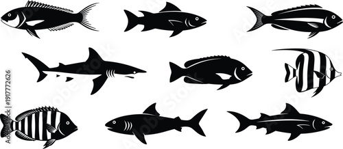 Black vector silhouette set of diverse fish species including sharks tuna salmon trout and tropical saltwater fish for seafood restaurant aquarium and ocean branding