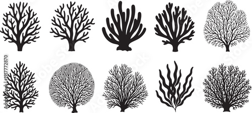 Aerial view of nine black silhouette coral and tree patterns arranged in a grid, showcasing intricate lacy and dense branching designs