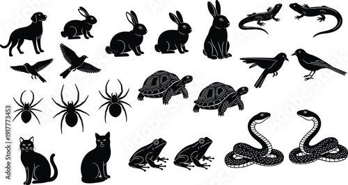 Detailed black and white illustration of tick and flea parasites, showing anatomical differences between arachnid and insect ectoparasites for scientific, educational, and entomology purposes