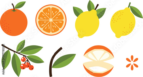 Citrus fruits and orange slices icons set, colorful vector illustrations with whole orange, lemon, lime, citrus cross-section and green leaves isolated on white background.